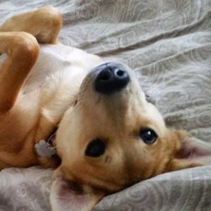 Meet your Posher, Anastasia